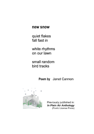 JanetCannon___POEM_CARD___new snow___IMAGE_card_WEBSITE