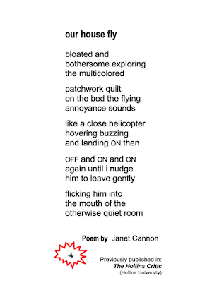 JanetCannon___POEM_CARD___our_house_fly__IMAGE_card_WEBSITE