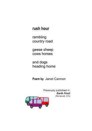 RUSH HOUR is a poem written by the American poet Janet Cannon.